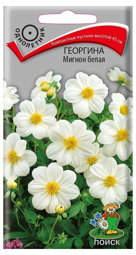 Поиск Семена Георгина Поиск Мигнон белая, 0,2 г
