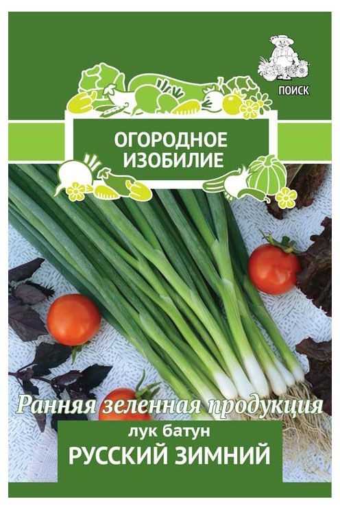 Поиск Семена Поиск Лук Батун Русский Зимний, 1 г