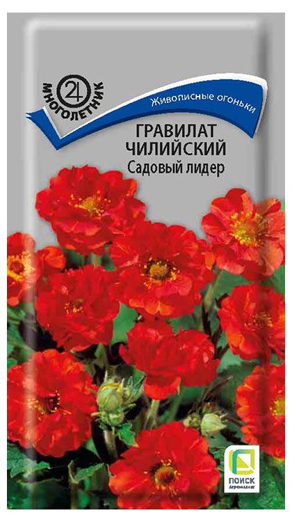 Поиск Семена Поиск Гравилат чилийский Садовый лидер, 0,1 г