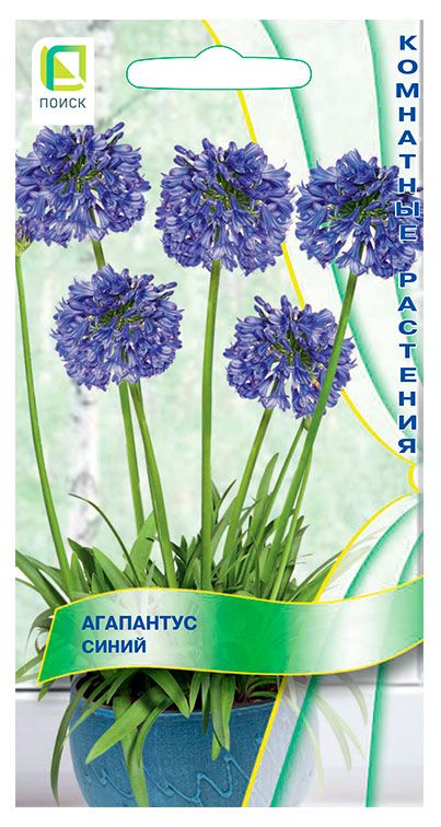 Поиск Семена Поиск Агапантус Синий, 3 шт