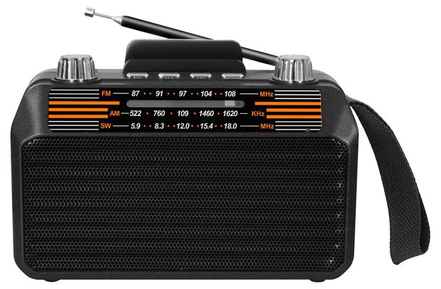 SOUNDMAX Радио Soundmax SM-RD2114UB