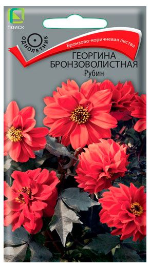 Поиск Семена Поиск Георгина Бронзоволистная Рубин, 10 шт