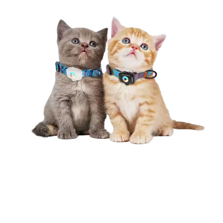 Mobile Phone APP Internet 4g Personal Track Device Locator Rastreador Collar Anti Lost Recording Pet Gps Mini Tracker Animals